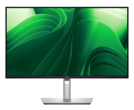 Dell Pro Plus P2425D - 1336114 - zdjęcie 1